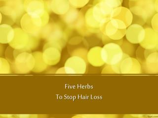 Five Herbs To Stop Hair Loss
