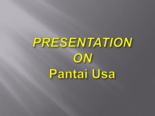 PANTAI CHEMICAL USA INC.