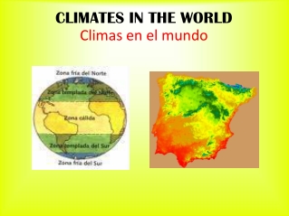 THE CLIMATE (Irene Cañadilla)