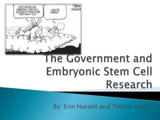 The Government Should Fund Embryonic Stem Cell