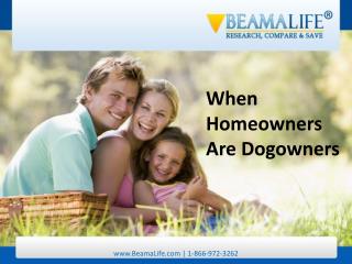 When Homeowners Are Dogowners