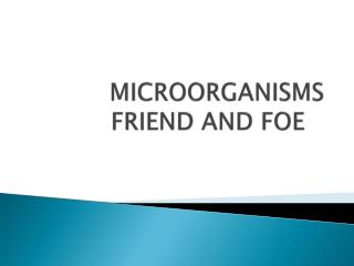microorganisms friend or foe Diagram besides these microorganisms, there is another type of microorganisms called viruses viruses cause some common ailments like chicken pox. microorganisms friend or foe Diagram besides these microorganisms, there is another type of microorganisms called viruses viruses cause some common ailments like chicken pox.