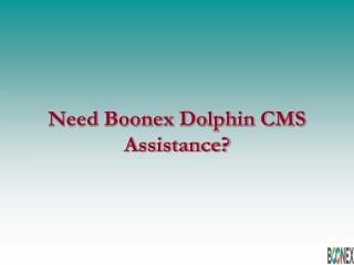 Boonex Dolphin development
