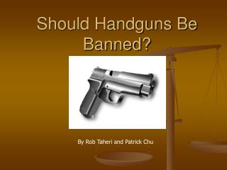 guns should not be banned