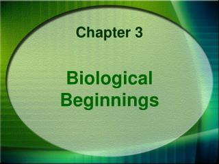 PPT - Chapter 2: Biological Beginnings PowerPoint Presentation - ID:736148