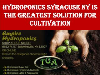Hydroponics Syracuse NY is the Greatest Solution for Cultiva