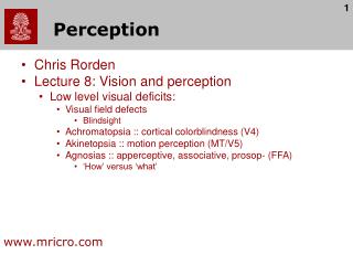 PPT - Why Is Perception Important? PowerPoint Presentation - ID:472472