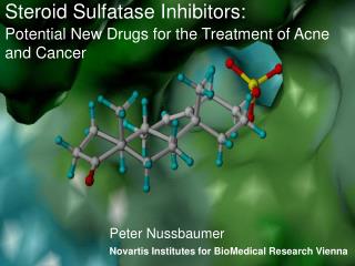Steroid sulfatase inhibitors promising new therapy for breast cancer
