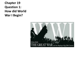 Chapter 19 Question 1: How did World War I Begin?