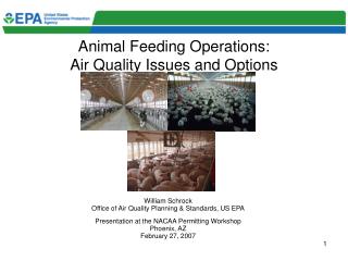 PPT - Concentrated Animal Feeding Operations Global Warming And Air ...