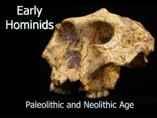 PPT - Early Hominids From Africa PowerPoint Presentation - ID:182132