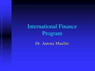 International Finance Program