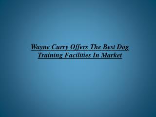 Wayne Curry Offers The Best Dog Training Facilities In Marke