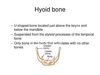 PPT - The Ear is housed within the TEMPORAL BONE PowerPoint