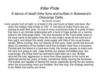 Killer Pride A dance of death links lions and buffalo in Botswana's Okavango Delta.