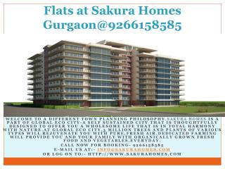 Flats at Sakura Homes Gurgaon@9266158585