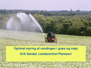 Optimal styring af vandingen i græs og majs Erik Sandal, Landscentret Planteavl