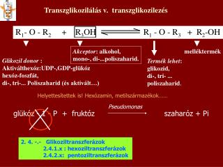 Transzglikozilálás v. transzglikozilezés