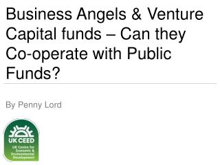Business Angels &amp; Venture Capital funds – Can they Co-operate with Public Funds?