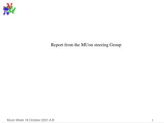 Report from the MUon steering Group