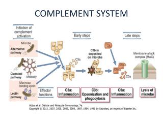 COMPLEMENT SYSTEM