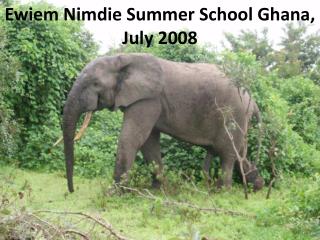 Ewiem Nimdie Summer School Ghana, July 2008