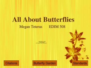 All About Butterflies