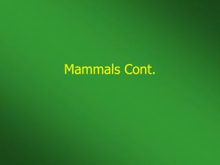 Mammals Cont.