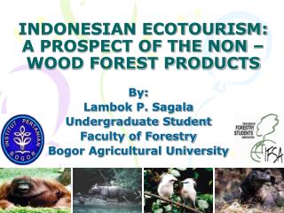 INDONESIAN ECOTOURISM: A PROSPECT OF THE NON – WOOD FOREST PRODUCTS