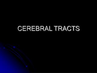 CEREBRAL TRACTS