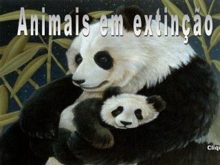 Animais em extinção