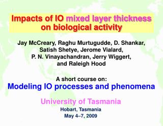 A short course on: Modeling IO processes and phenomena