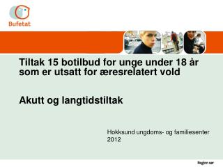 Hokksund ungdoms- og familiesenter 2012