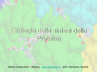 Citologia della sintesi delle Proteine