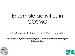 Ensemble activities in COSMO