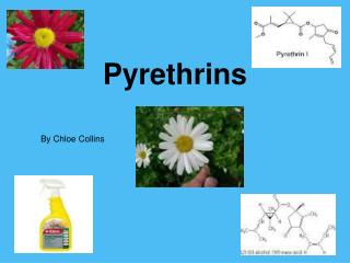 Pyrethrins