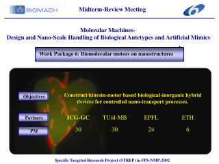 Work Package 6: Biomolecular motors on nanostructures