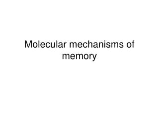Molecular mechanisms of memory