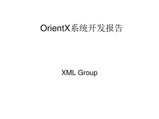 OrientX 系统开发报告