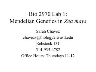 Bio 2970 Lab 1: Mendelian Genetics in Zea mays