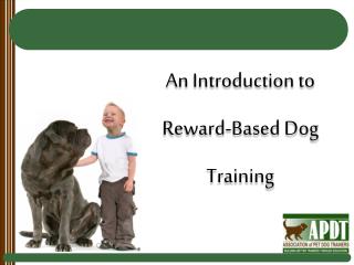 An Introduction to Reward-Based Dog Training