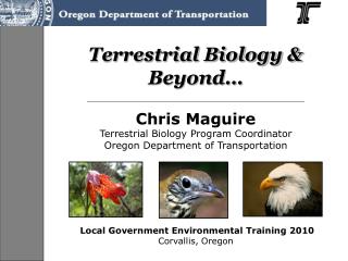 Terrestrial Biology &amp; Beyond…