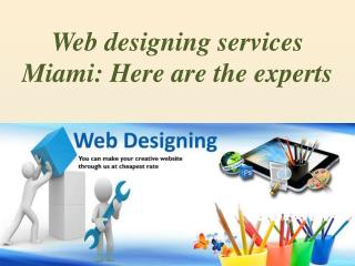 Web designing services Miami: Here are the experts