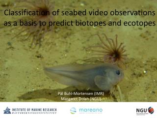 Classification of seabed video observations as a basis to predict biotopes and ecotopes