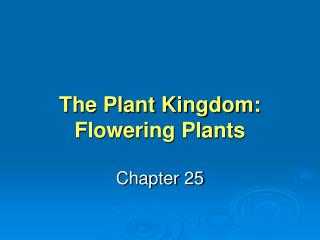 The Plant Kingdom: Flowering Plants
