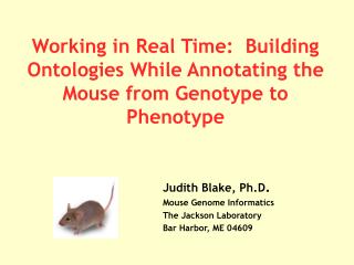 Working in Real Time: Building Ontologies While Annotating the Mouse from Genotype to Phenotype