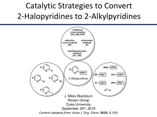 Catalytic Strategies to Convert 2-Halopyridines to 2-Alkylpyridines
