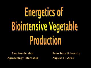Energetics of Biointensive Vegetable Production