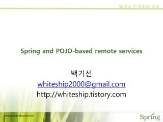 Spring and POJO-based remote services