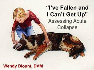 “I’ve Fallen and I Can’t Get Up” Assessing Acute Collapse